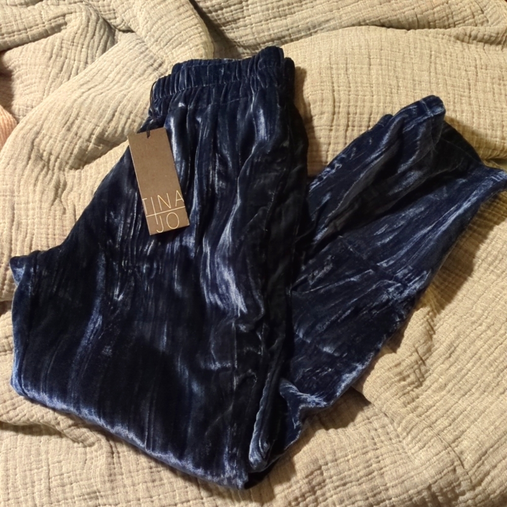 Velvet navy XS pants